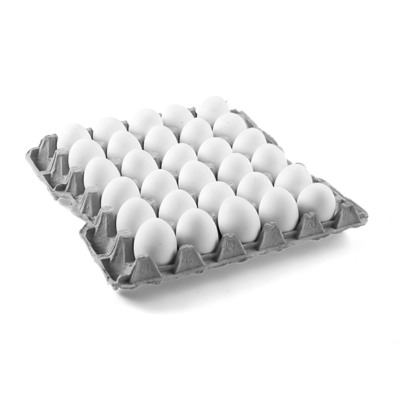 pngegg (13) Huevo 1kg